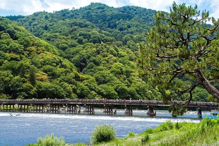 Arashiyama Bamboo Grove, Monkey Park & Matcha Tour — Kyoto Half-Day Walk photo 6