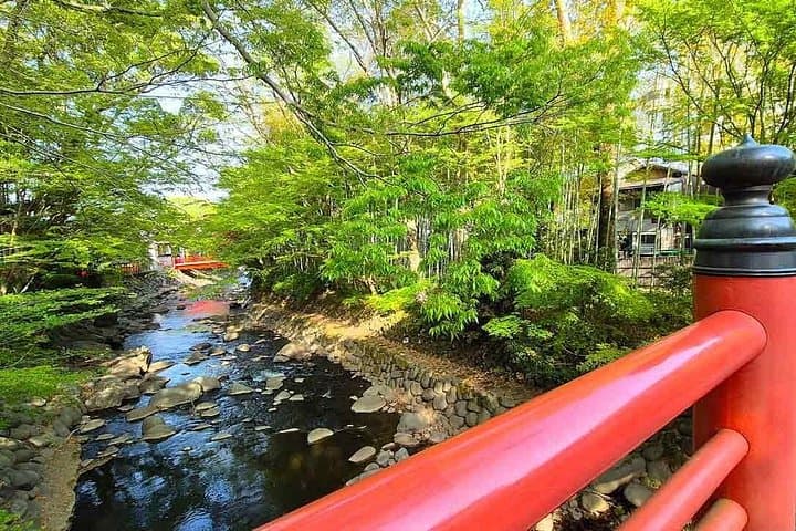 Izu MOA Art, Mishima Skywalk & Shuzenji Onsen: 2-Day Izu Peninsula Escape photo 3
