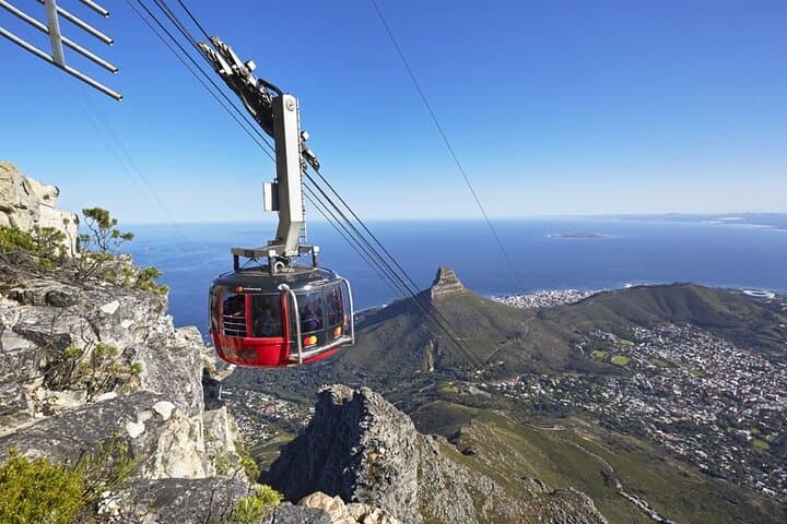 Half-Day Table Mountain & Boulders Penguin Encounter from Cape Town photo 4