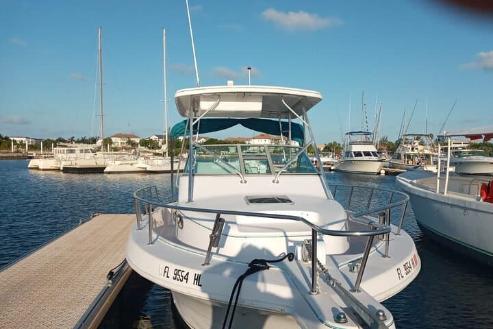 Private Stingray City & Coral Gardens Snorkel with Local Captain in Grand Cayman photo 1