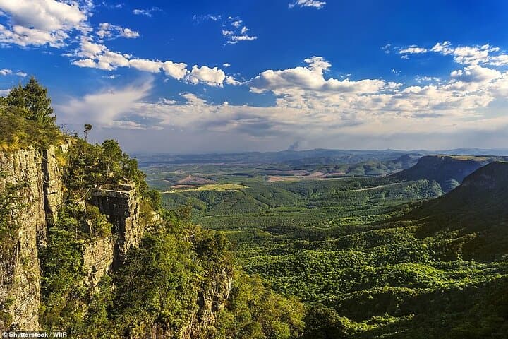 Three-Day Garden Route: Cango Caves, Botlierskop Safari & Knysna Lagoon