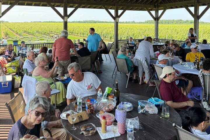 Private Luxury Wine Tour of Long Island's North Fork — Pindar, Raphael & Lenz photo 2