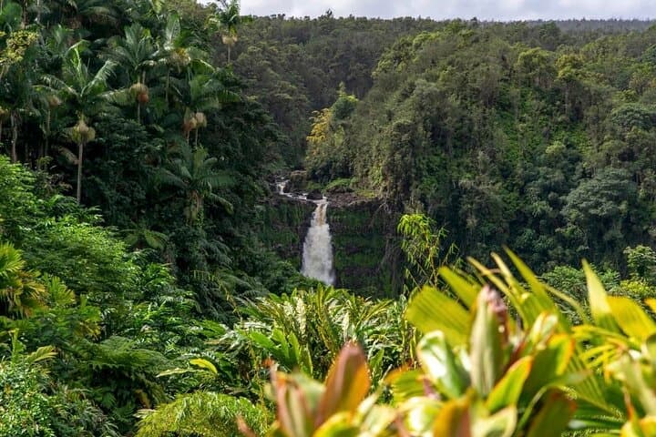 Explore Akaka Falls and Volcanoes National Park: Big Island’s Ultimate Day Tour photo 3