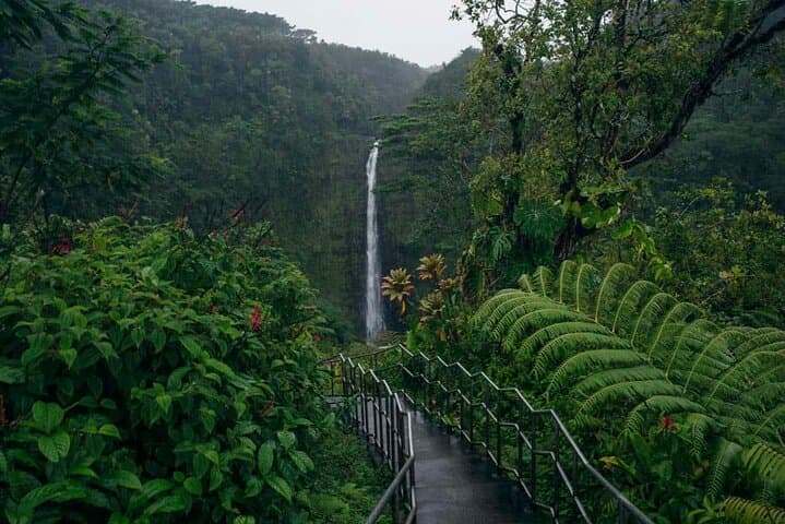Explore Akaka Falls and Volcanoes National Park: Big Island’s Ultimate Day Tour