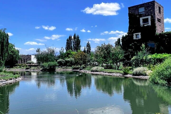 Michelin-Recommended Mendoza: Private Wine Tastings & Olive Farm Experience