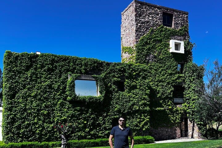 Michelin-Recommended Mendoza: Private Wine Tastings & Olive Farm Experience photo 2