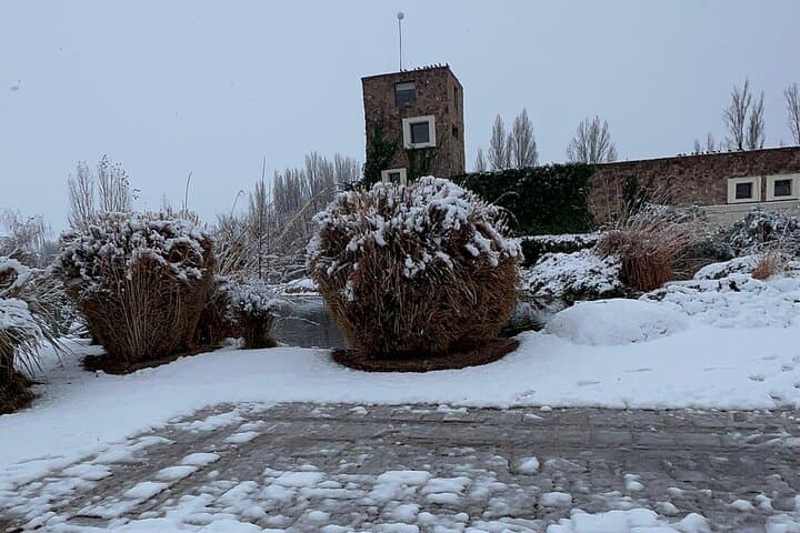 Michelin-Recommended Mendoza: Private Wine Tastings & Olive Farm Experience photo 6