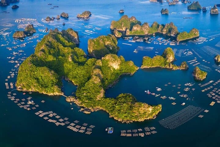 Ha Long & Lan Ha Bay Day Cruise: Kayak, Caves and Titov Island Views photo 1