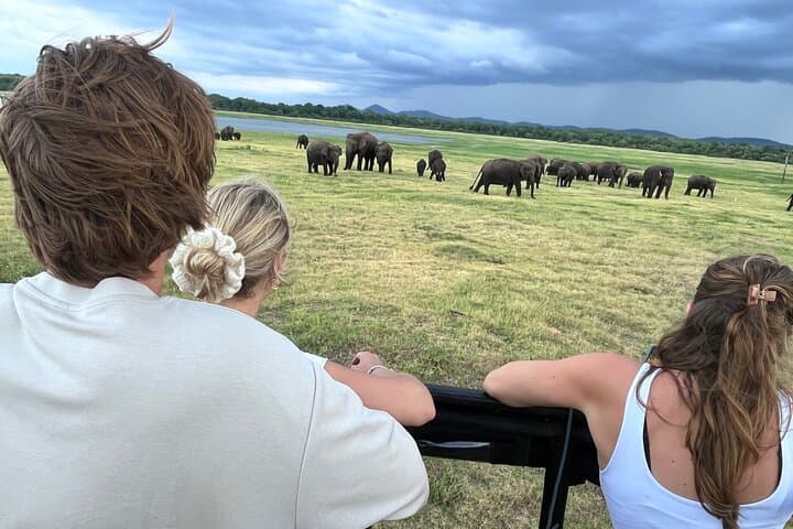 Minneriya National Park Safari — Evening Elephant Gathering from Sigiriya photo 3