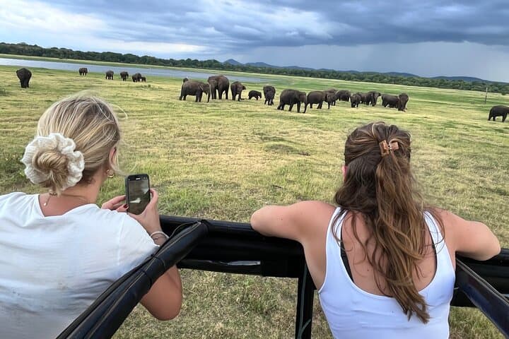 Minneriya National Park Safari — Evening Elephant Gathering from Sigiriya photo 4