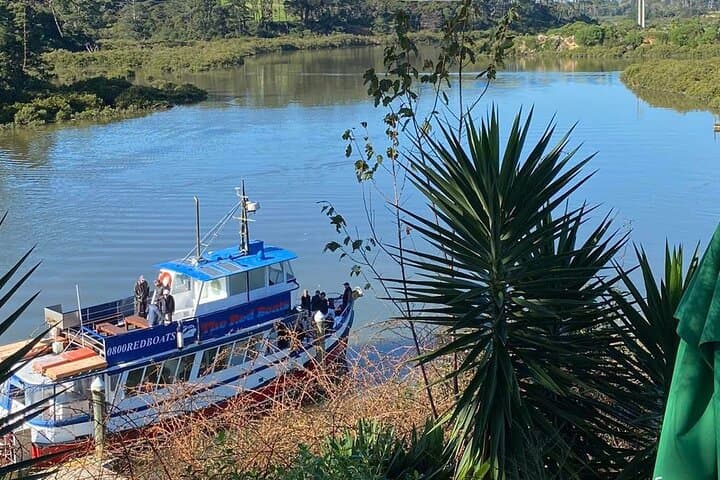 Scenic Ferry to Riverhead Tavern: Auckland Harbour Cruise and Lunch photo 5