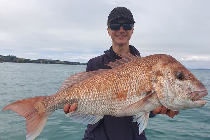 Full-Day Fishing Trip on Auckland's Waitematā Harbour aboard MV Ocean Spirit photo 3