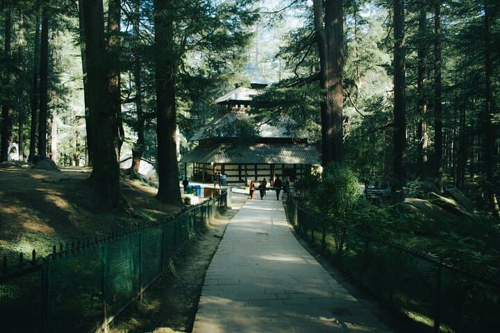 Drive the Himalaya: 5-Day Private Shimla & Manali Tour from Delhi photo 3