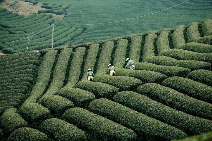 Northern Vietnam in 6 Days: Ha Long Bay, Ninh Binh & Sapa Highlights photo 4
