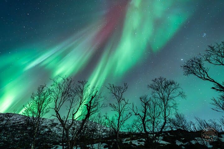 Tromsø Northern Lights Chase: Small-Group Aurora Photography Tour photo 4
