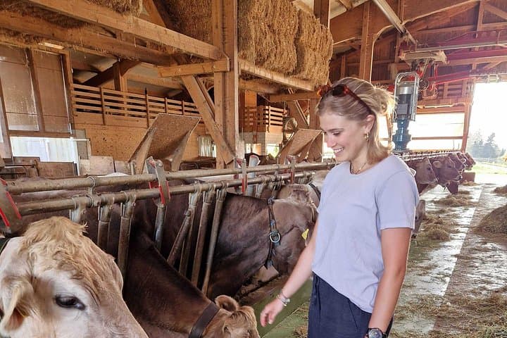 Sonnenberg Farm & Cheese Tasting Tour from Lucerne: Hike, Gondola & Local Cheese