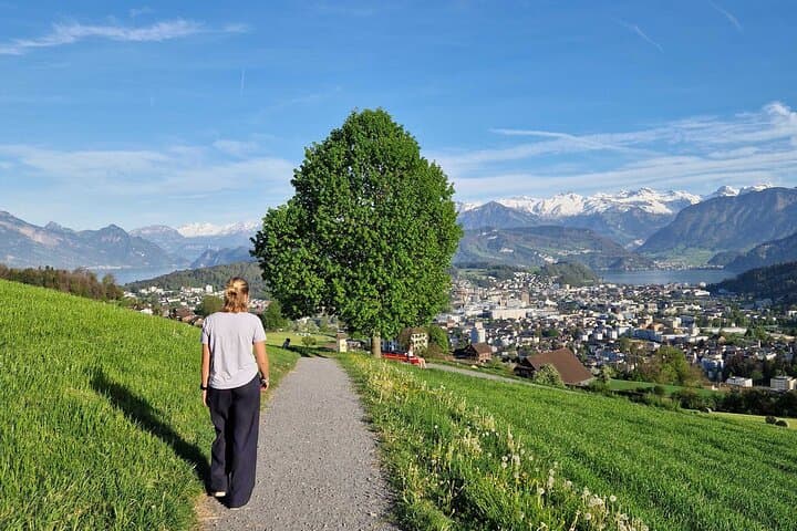 Sonnenberg Farm & Cheese Tasting Tour from Lucerne: Hike, Gondola & Local Cheese photo 3