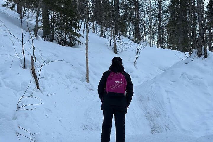 Korouoma Canyon Private Hike: Frozen Waterfalls & Finnish Campfire Experience photo 6