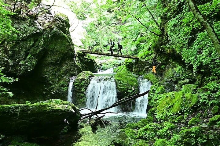Full-Day Hike to Mt. Kawanori: Okutama Gorge, Hyakuhiro Falls & Tokyo Wilderness
