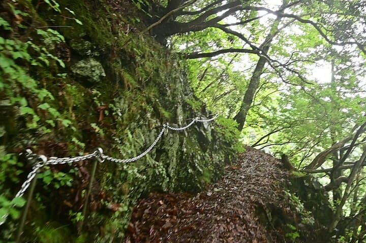 Full-Day Hike to Mt. Kawanori: Okutama Gorge, Hyakuhiro Falls & Tokyo Wilderness photo 5