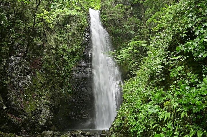 Full-Day Hike to Mt. Kawanori: Okutama Gorge, Hyakuhiro Falls & Tokyo Wilderness photo 2