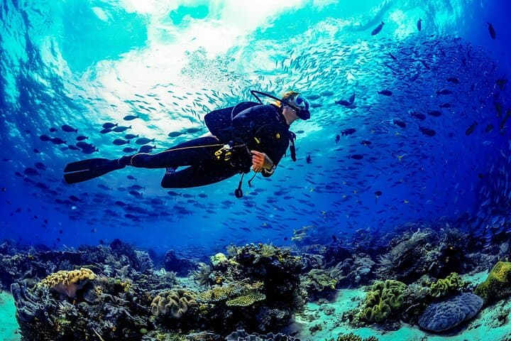 Certified Scuba Diving Training in Butterfly Valley, Turkey