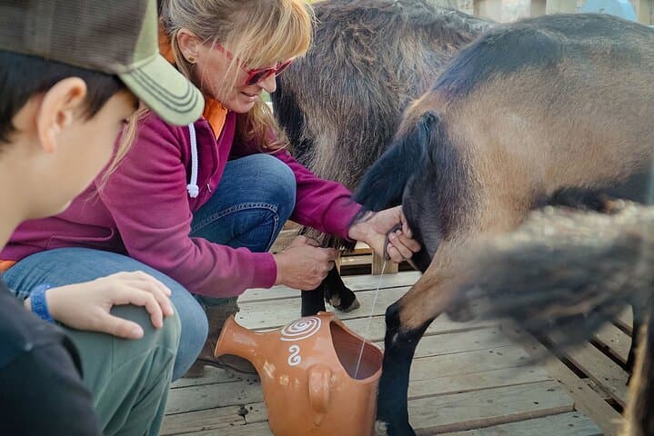 Sifnos Goat Milking & Manoura Cheese-Making Evening at Anthi's Farm