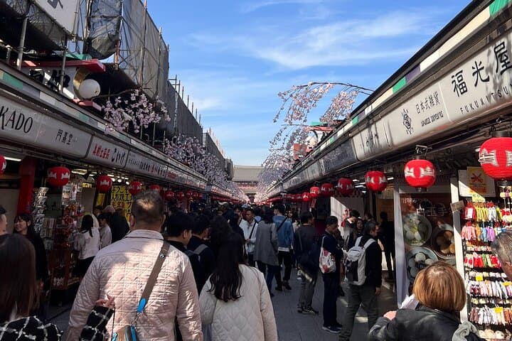 Private 60-Minute Sumida River Cruise from Asakusa photo 3