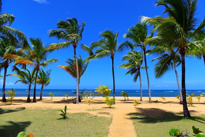 A Week Across the Dominican Republic: Colonial Streets, Coffee Highlands, and Samaná Shores