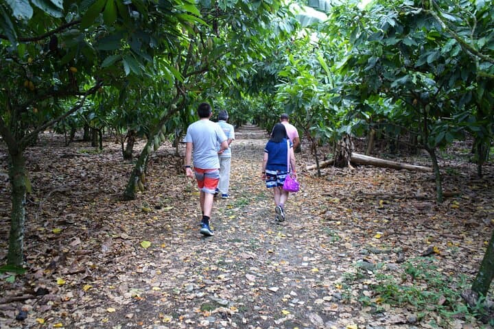 A Week Across the Dominican Republic: Colonial Streets, Coffee Highlands, and Samaná Shores photo 4