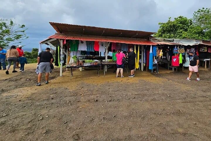 Roatan Half-Day: Snorkel Reefs, Meet Monkeys & Tour the Island photo 4