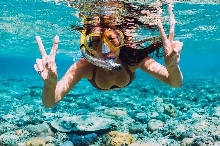Roatan Half-Day: Snorkel Reefs, Meet Monkeys & Tour the Island photo 5