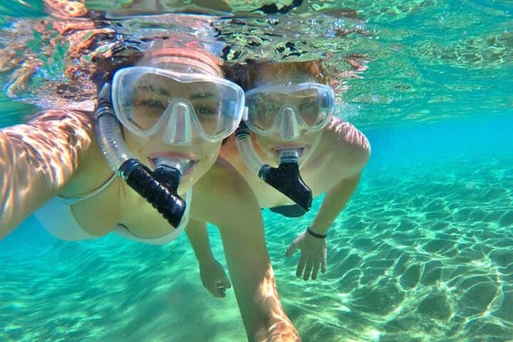 Roatan Half-Day: Snorkel Reefs, Meet Monkeys & Tour the Island