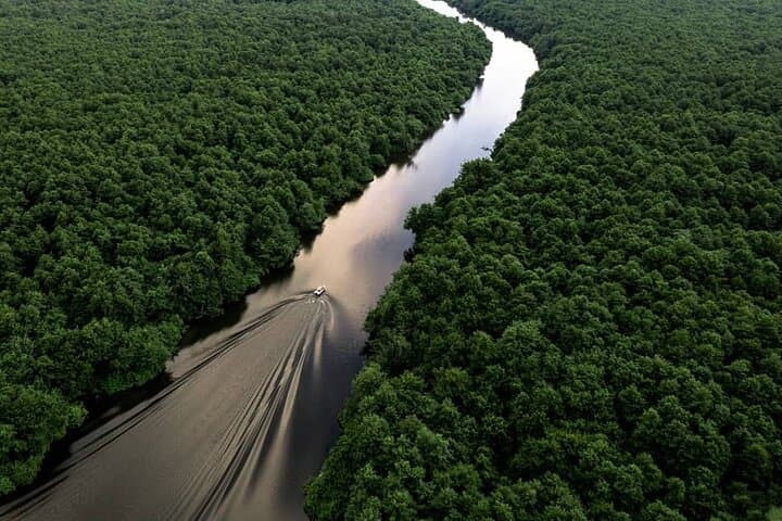 Discover the Georgian Amazon: Batumi Boat Tour to Kolkheti National Park