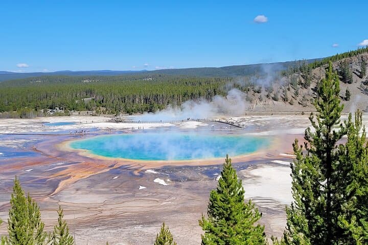 Guided Lower Loop of Yellowstone from Cody — Old Faithful, Grand Prismatic & Wildlife Viewing