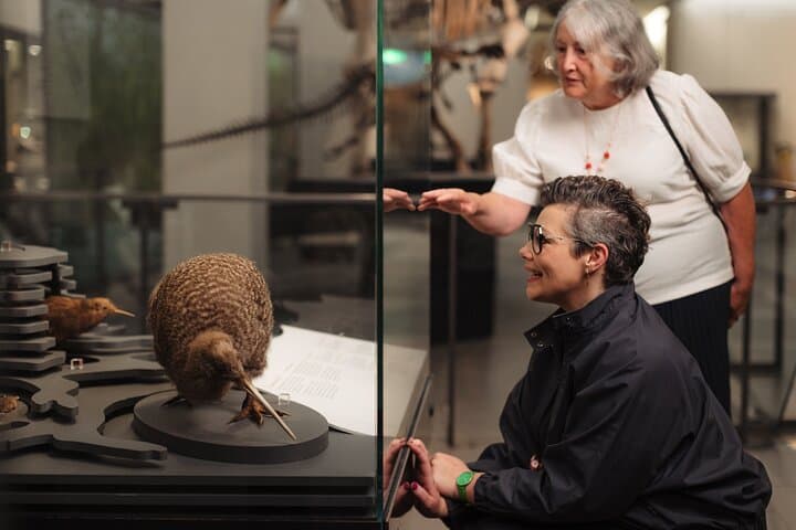 Auckland Museum General Admission: Skip-the-Line Visitor Guide photo 2