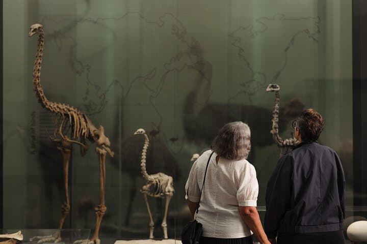 Auckland Museum General Admission: Skip-the-Line Visitor Guide photo 6