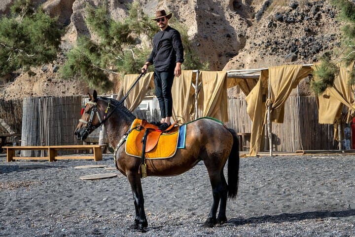 Santorini Horse and Donkey Ride Through Volcanic Landscapes photo 5