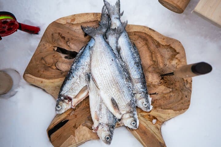 Private Ice Fishing & Igloo Lunch Near Rovaniemi — Arctic Day Tour photo 5