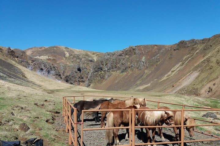Reykjadalur Hot River Ride: Small-Group Icelandic Horseback Adventure photo 6