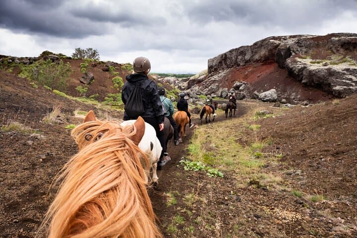 Ride the Red Lava Fields: Icelandic Horse Tour from Reykjavík
