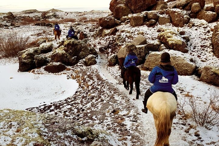 Ride the Red Lava Fields: Icelandic Horse Tour from Reykjavík photo 6