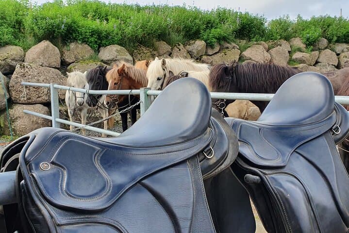 Ride the Red Lava Fields: Icelandic Horse Tour from Reykjavík photo 3
