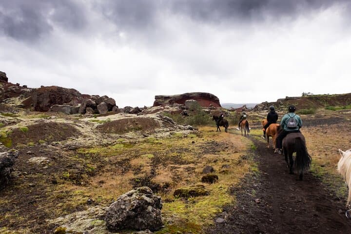 Ride the Red Lava Fields: Icelandic Horse Tour from Reykjavík photo 2