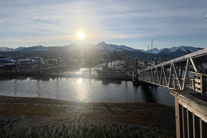 Anchorage to Whittier Scenic Transfer: Turnagain Arm & Anton Anderson Tunnel photo 5