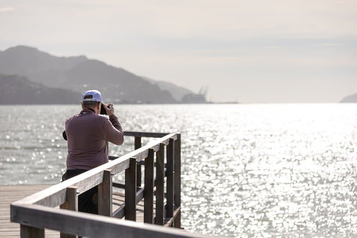 Explore the Scenic Highlights of Christchurch: A Half-Day Shore Excursion photo 5