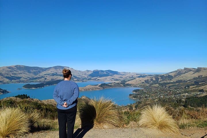 Explore Christchurch: A Half-Day Scenic Adventure photo 5