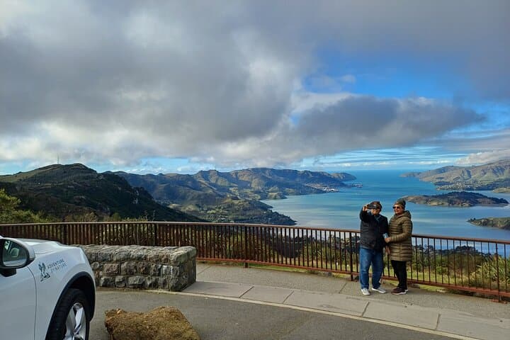 Explore Christchurch: A Half-Day Scenic Adventure