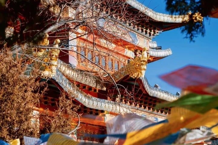 Shangri-La Day Tour: Songzanlin Monastery, Napahai Lake & Potatso Highlights photo 2