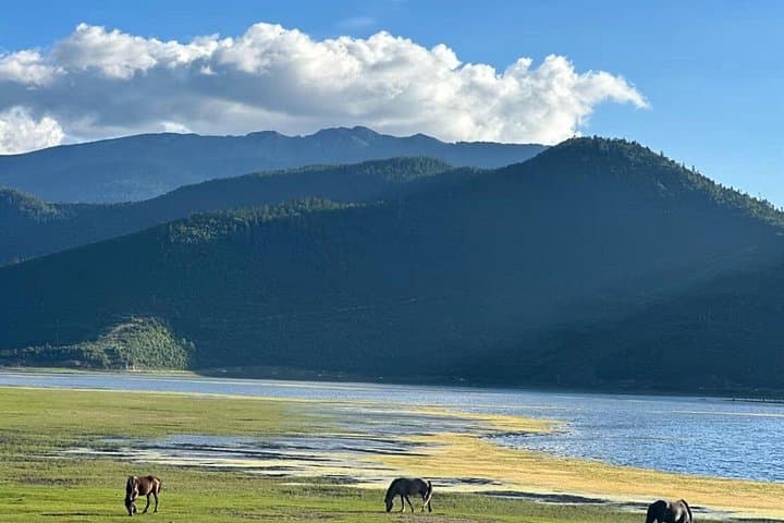 Shangri-La Day Tour: Songzanlin Monastery, Napahai Lake & Potatso Highlights photo 3